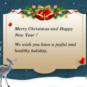 Best wish for a merry Christmas and a happy new year 
