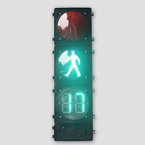 Acoustic 300mm R&G Pedestrian Signal Light with Countdown Timer Acoustic 300mm R&G Pedestrian Signal Light with Countdown Timer